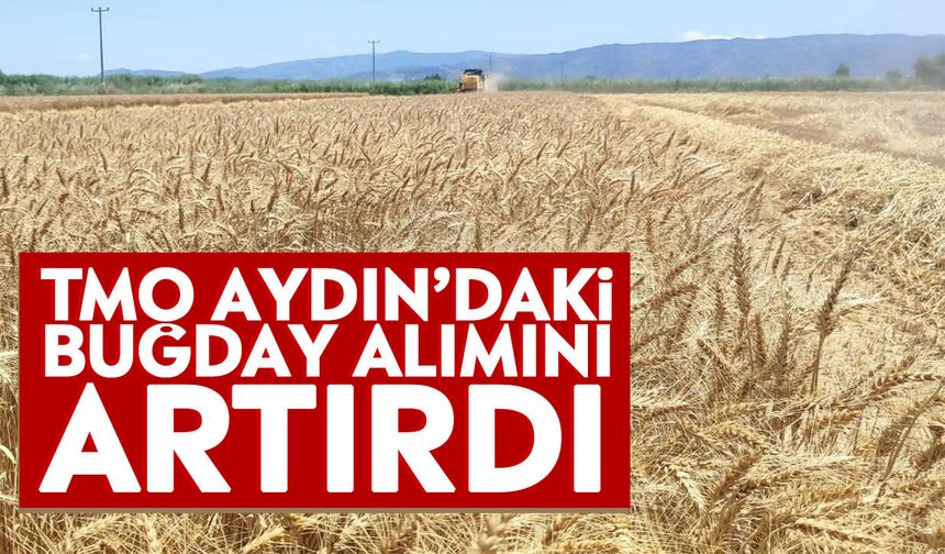 TMO Aydın’daki buğday alımını artırdı