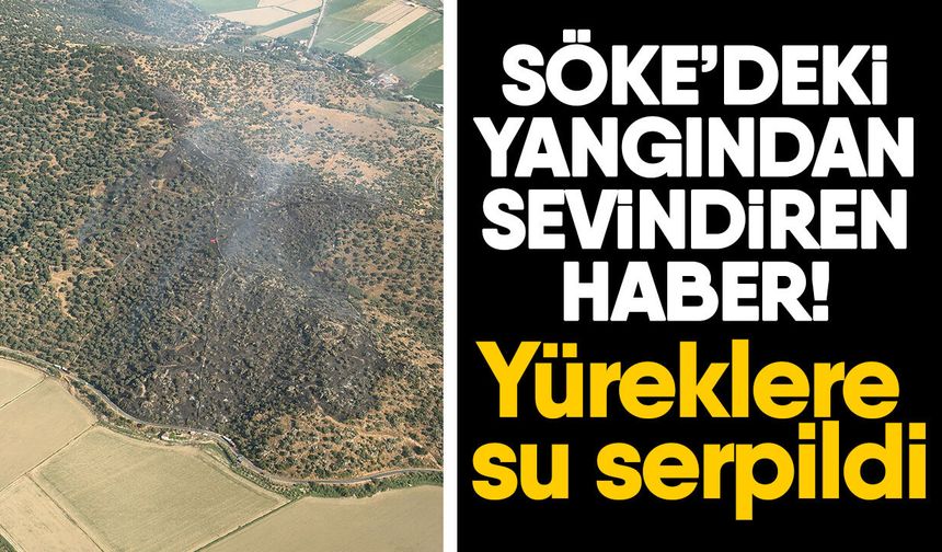 Söke’deki yangından sevindiren haber! Yüreklere su serpildi