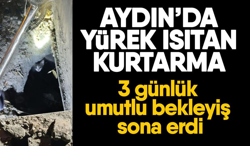 Aydın’da yürek ısıtan kurtarma! 3 günlük umutlu bekleyiş sona erdi