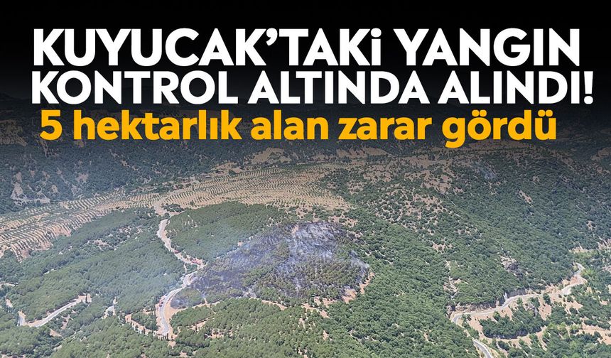 Kuyucak’taki yangın kontrol altında alındı! 5 hektarlık alan zarar gördü