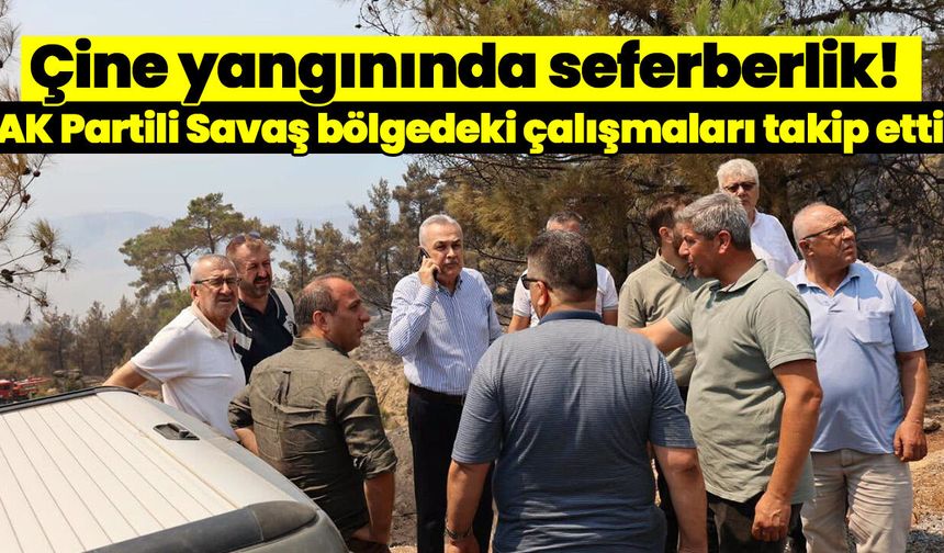 Çine yangınında seferberlik! AK Partili Savaş bölgedeki çalışmaları takip etti