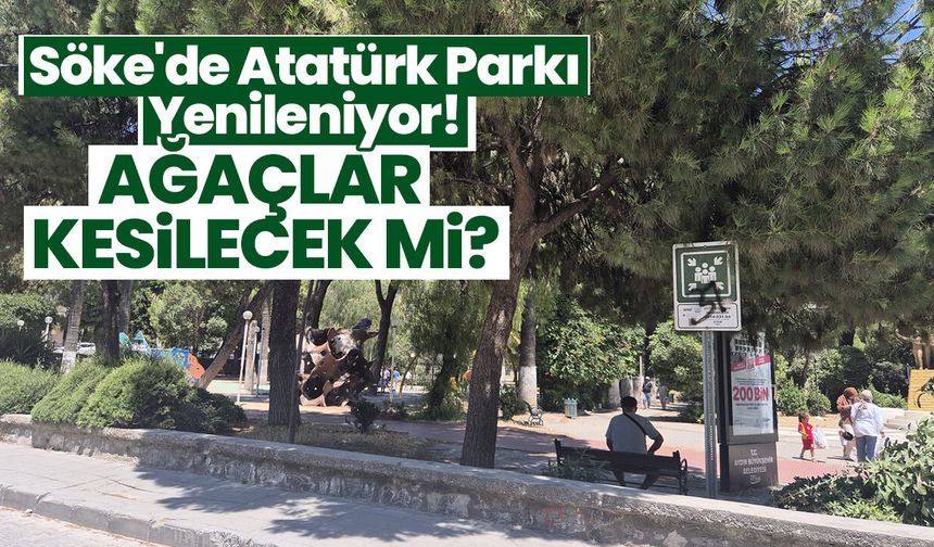 Söke'de Atatürk Parkı Yenileniyor! "Ağaçlar Kesilecek mi?"