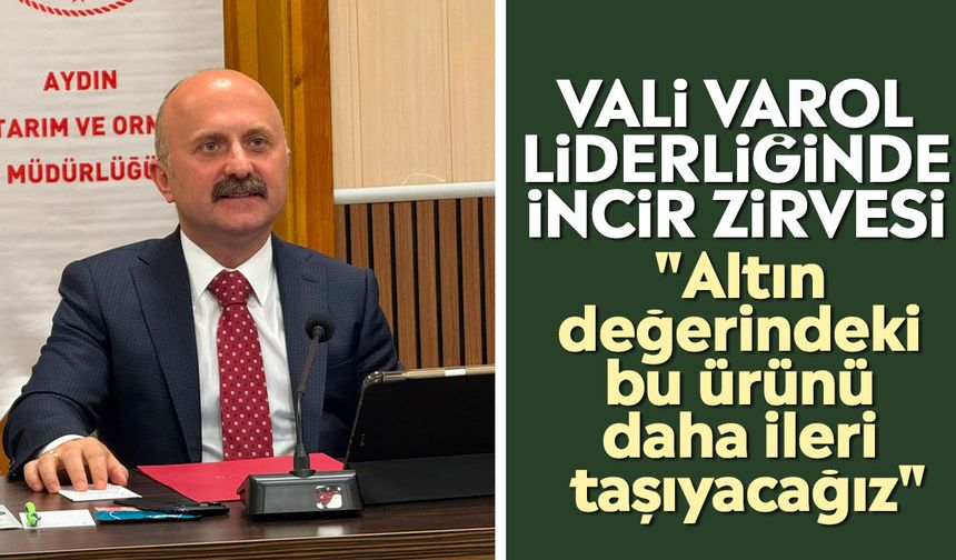 Vali Varol liderliğinde incir zirvesi: "Altın değerindeki bu ürünü daha ileri taşıyacağız"