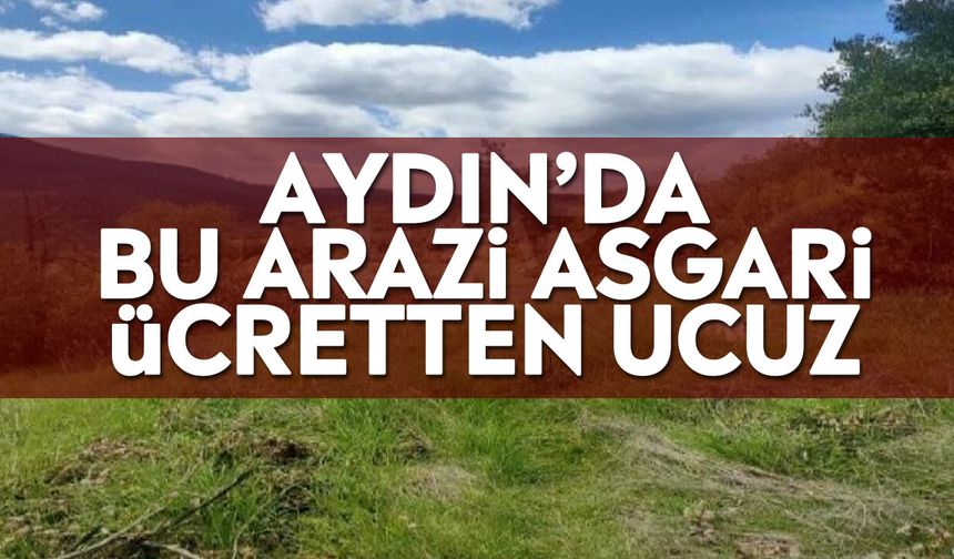 Aydın’da bu arazi asgari ücretten ucuz