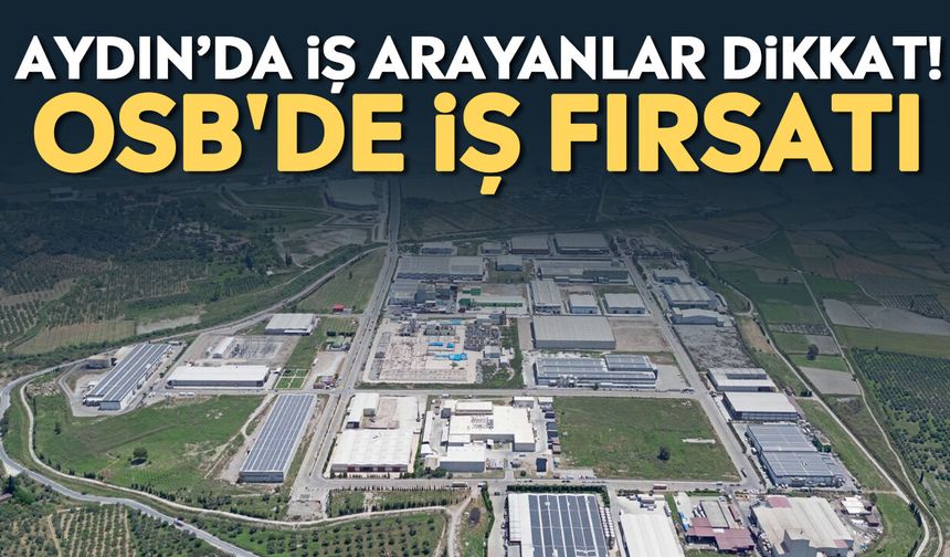 Aydın’da iş arayanlar dikkat! OSB'de iş fırsatı