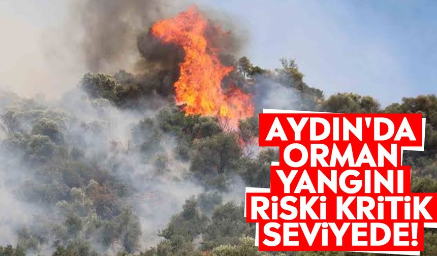 Aydın'da orman yangını riski kritik seviyede!