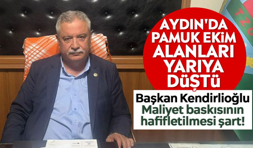 Aydın'da pamuk ekim alanları yarıya düştü
