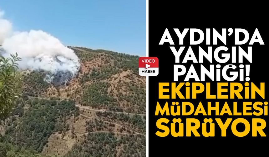 Aydın’da yangın paniği! Ekiplerin müdahalesi sürüyor