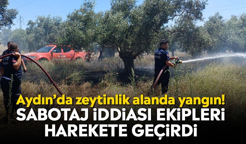 Aydın’da zeytinlik alanda yangın! Sabotaj iddiası ekipleri harekete geçirdi