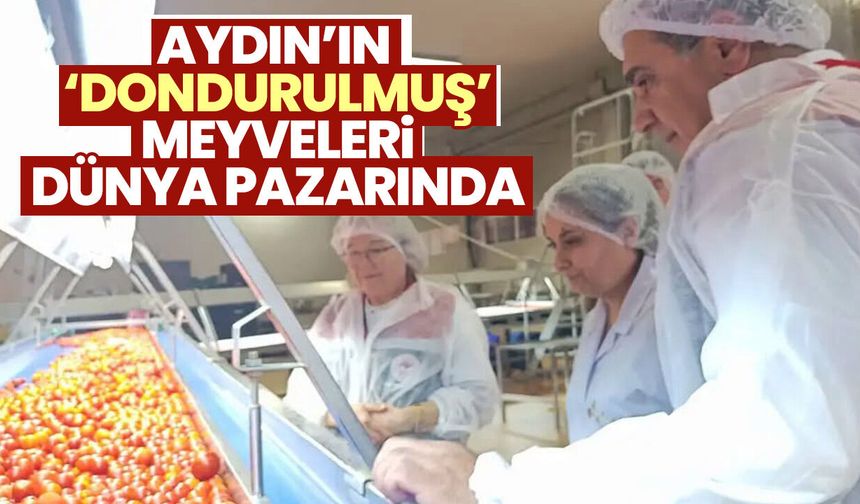 Aydın’ın ‘Dondurulmuş’ Meyveleri Dünya Pazarında