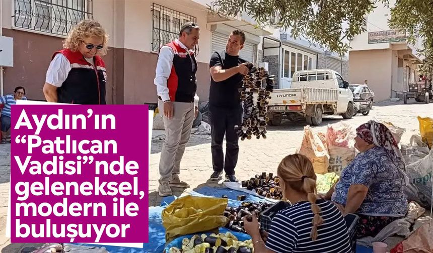 Aydın’ın “Patlıcan Vadisi”nde geleneksel, modern ile buluşuyor