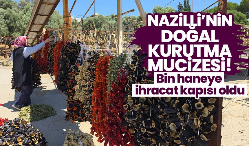 Nazilli’nin doğal kurutma mucizesi! Bin haneye ihracat kapısı oldu