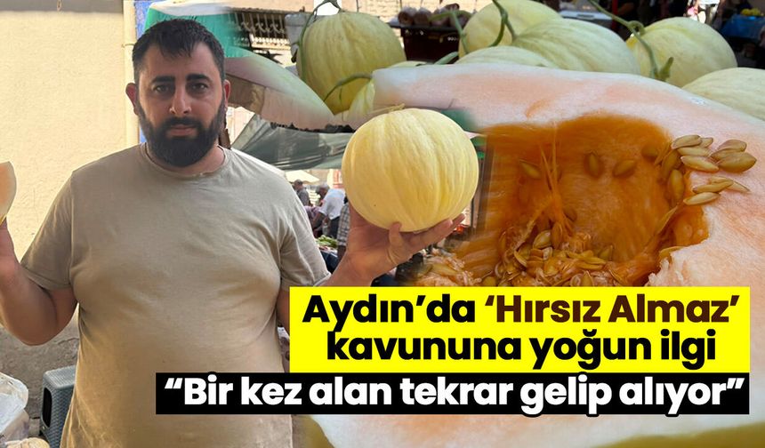 Aydın’da ‘Hırsız Almaz’ kavununa yoğun ilgi