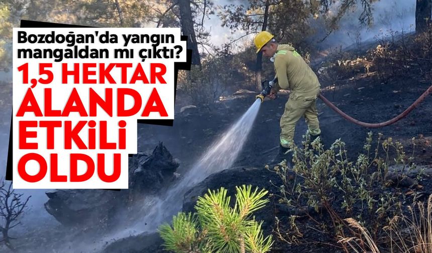 Bozdoğan'da yangın mangaldan mı çıktı? 1,5 hektar alanda etkili oldu