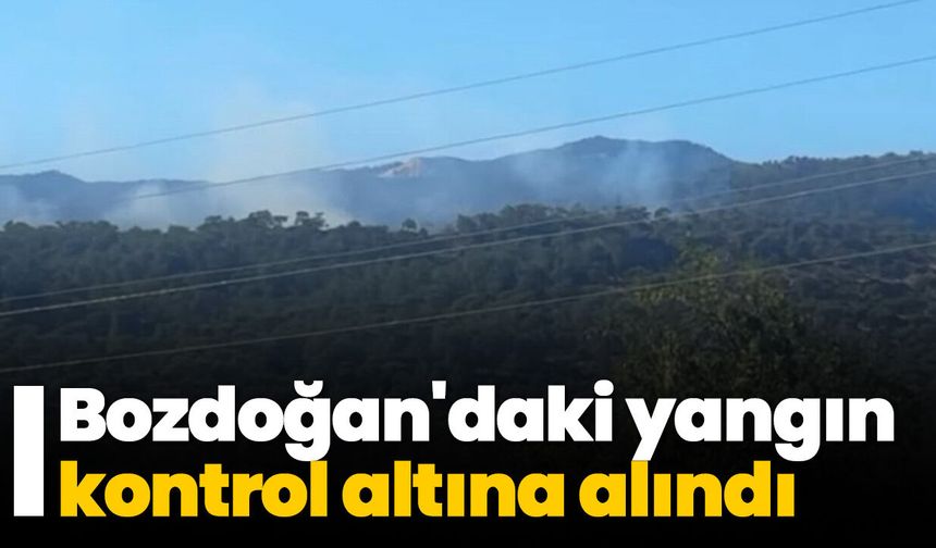 Bozdoğan'daki yangın kontrol altına alındı