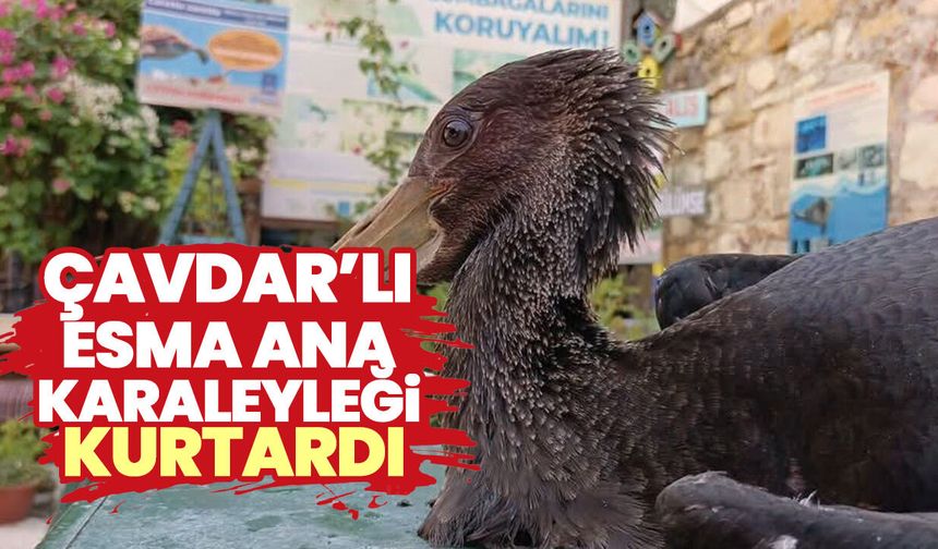 Çavdar’lı Esma ana Karaleyleği kurtardı