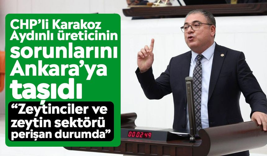 CHP’li Karakoz Aydınlı üreticinin sorunlarını Ankara’ya taşıdı