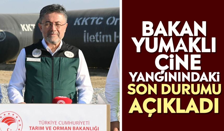 Bakan Yumaklı Çine yangınındaki son durumu açıkladı