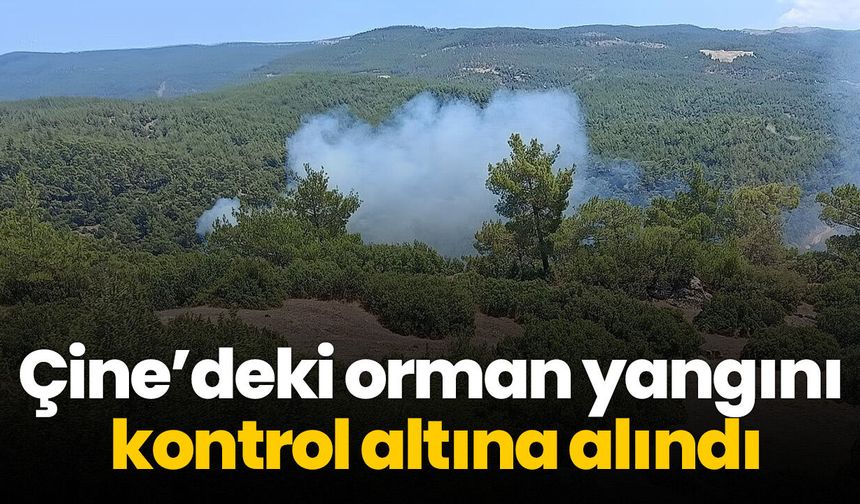 Çine’deki orman yangını kontrol altına alındı