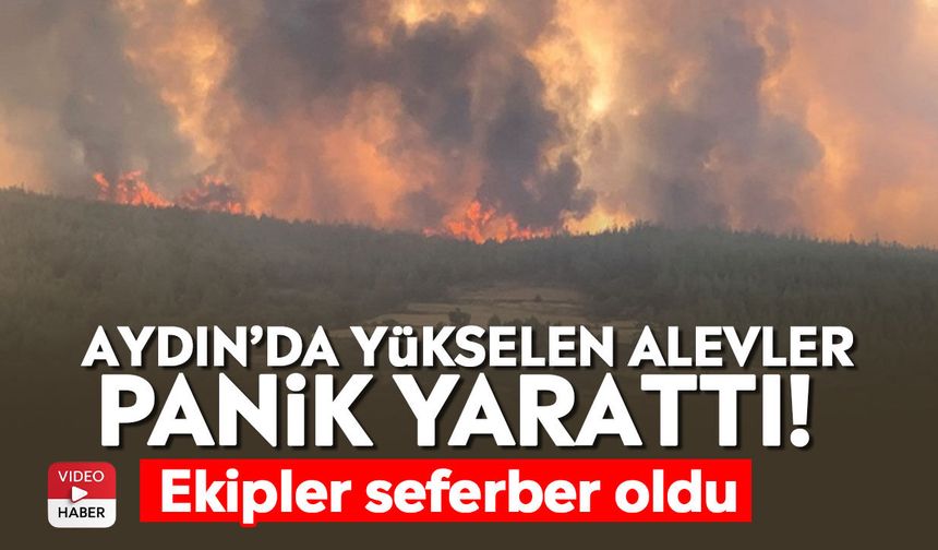 Aydın’da yükselen alevler panik yarattı! Ekipler seferber oldu
