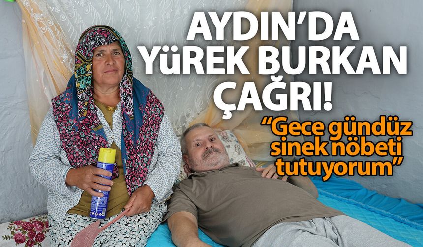 Aydın’da yürek burkan çağrı! “Gece gündüz sinek nöbeti tutuyorum”