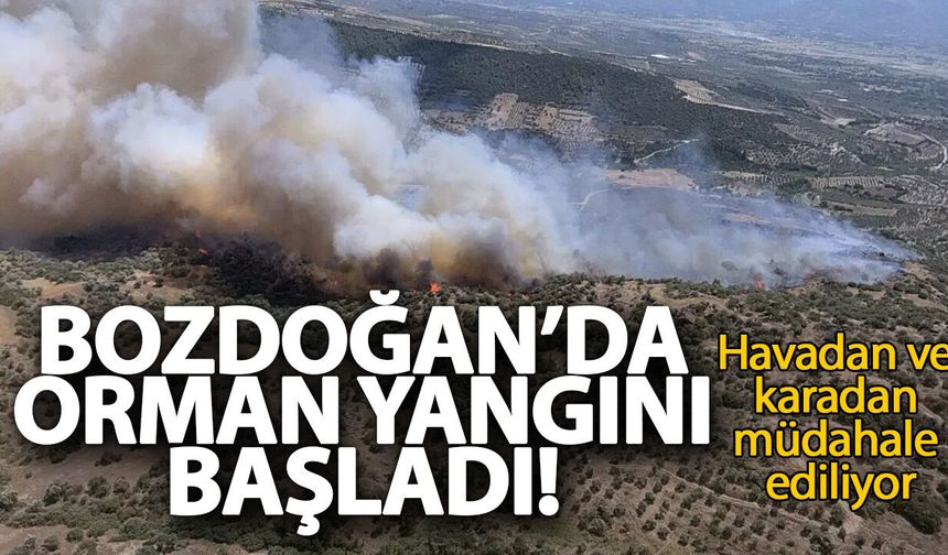 Bozdoğan’da orman yangını başladı! Havadan ve karadan müdahale ediliyor