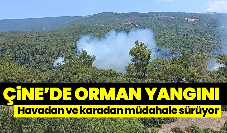 Çine’de orman yangını! Havadan ve karadan müdahale sürüyor