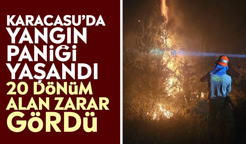 Karacasu’da yangın paniği yaşandı: 20 dönüm alan zarar gördü
