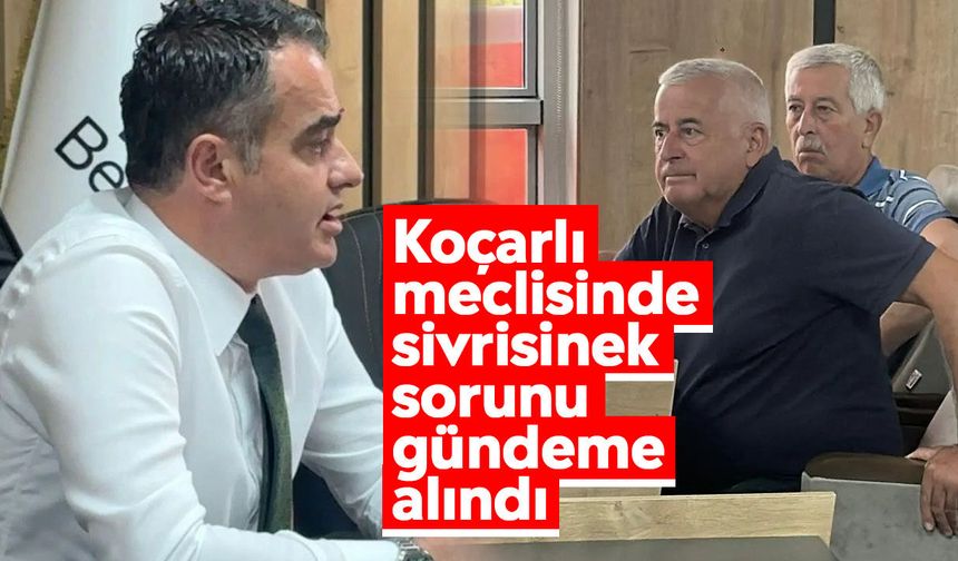 Koçarlı meclisinde sivrisinek sorunu gündeme alındı