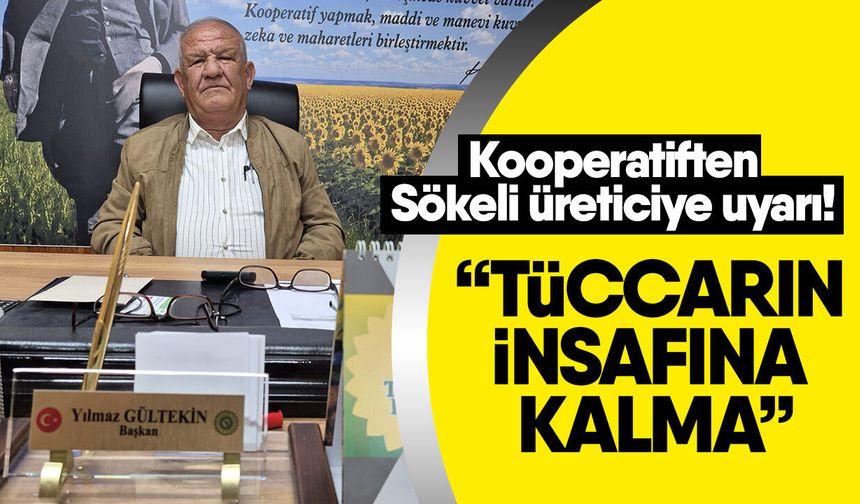 Kooperatiften Sökeli üreticiye uyarı! “Tüccarın insafına kalma”
