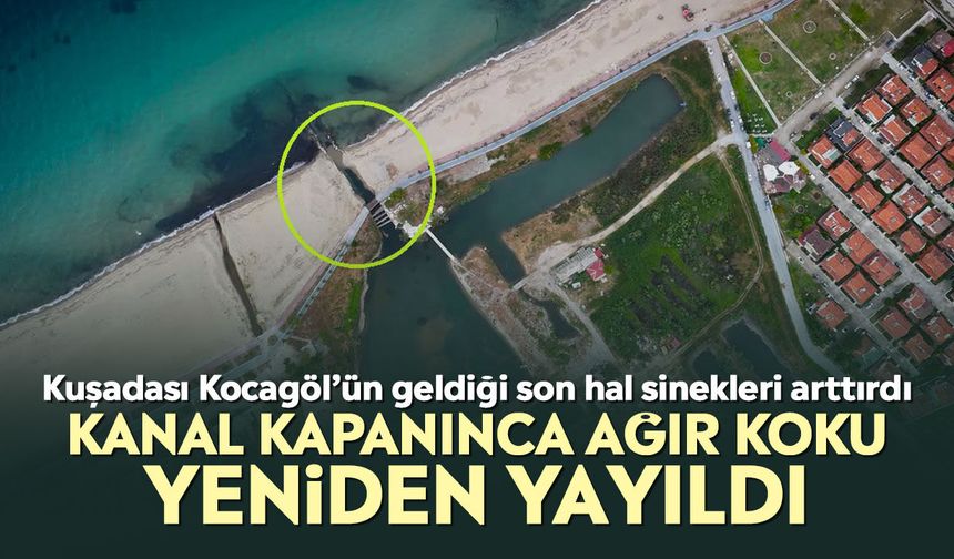 Kuşadası Kocagöl’ün geldiği son hal sinekleri arttırdı: Kanal kapanınca ağır koku yeniden yayıldı