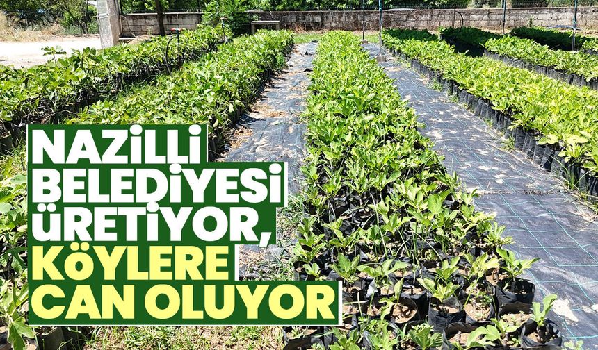 Nazilli Belediyesi üretiyor, köylere can oluyor