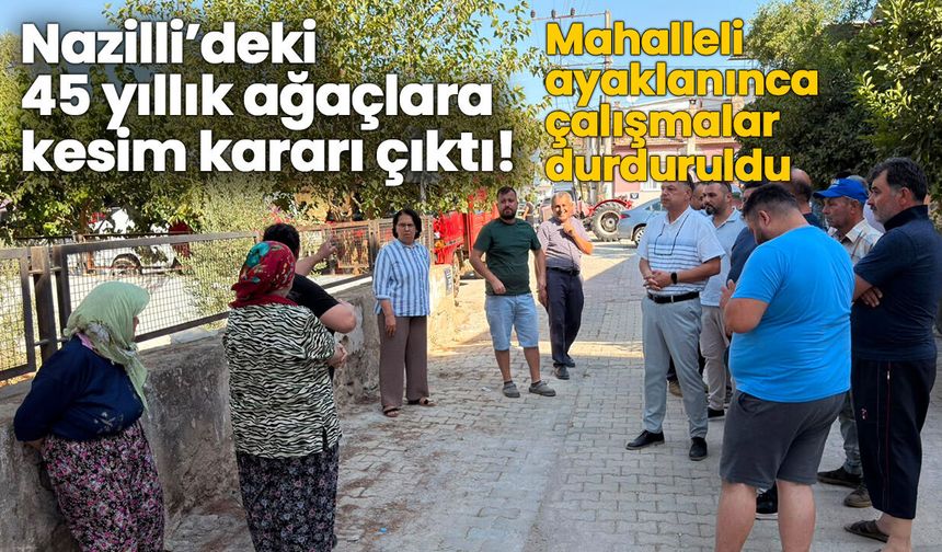Nazilli’deki 45 yıllık ağaçlara kesim kararı çıktı! Mahalleli ayaklanınca çalışmalar durduruldu