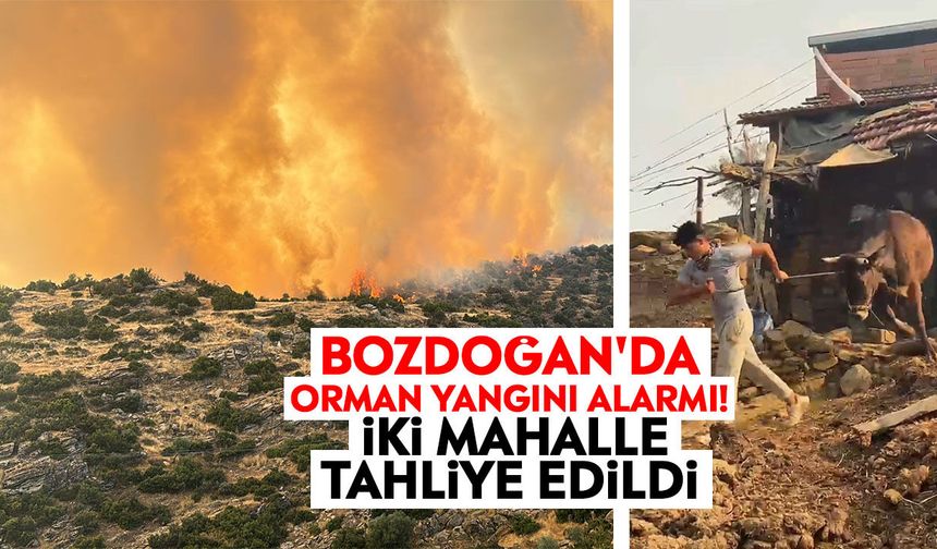 Bozdoğan’da orman yangını alarmı! İki mahalle tahliye edildi