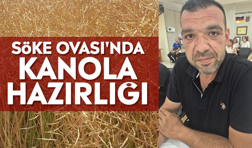 Söke Ovası'nda kanola hazırlığı