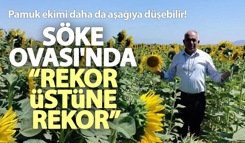 Pamuk ekimi daha da aşağıya düşebilir! Söke Ovası'nda “rekor üstüne rekor”