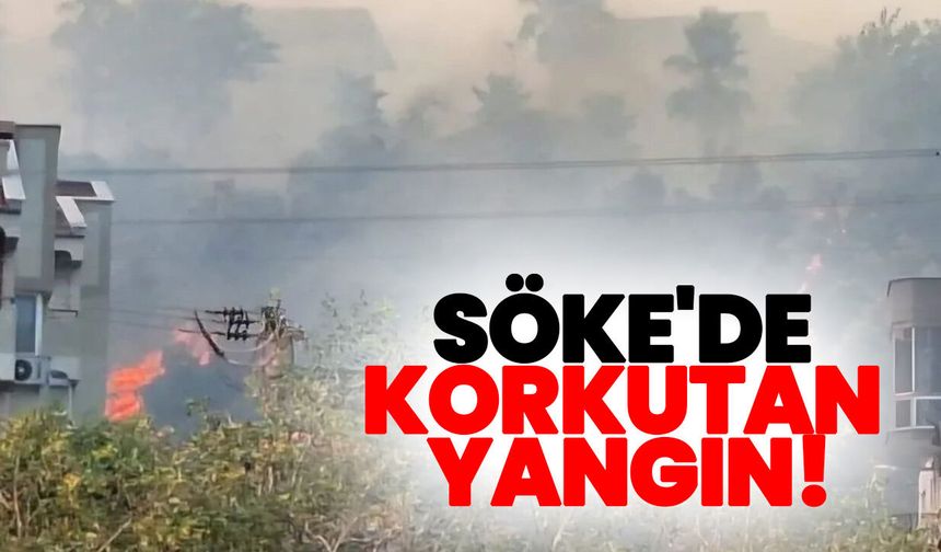 Söke'de korkutan yangın!