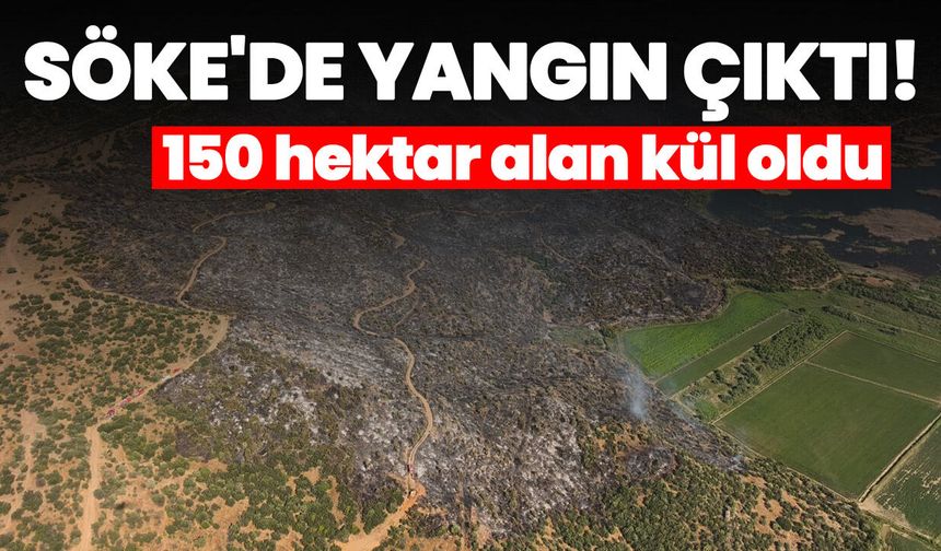 Söke'de yangın çıktı! 150 hektar alan kül oldu