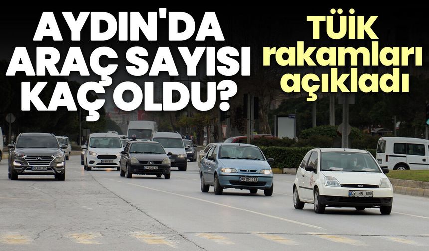 Aydın'da araç sayısı kaç oldu? TÜİK rakamları açıkladı