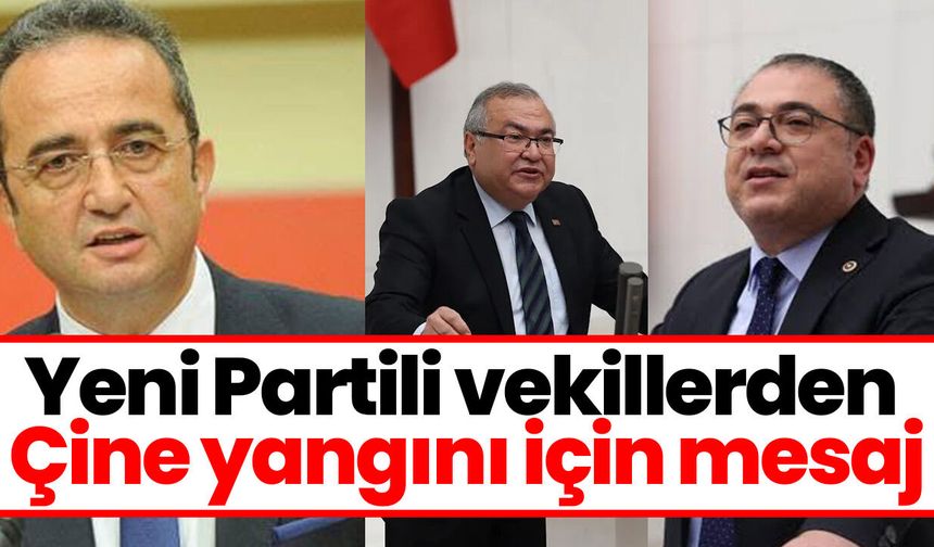 Yeni Partili vekillerden Çine yangını için mesaj
