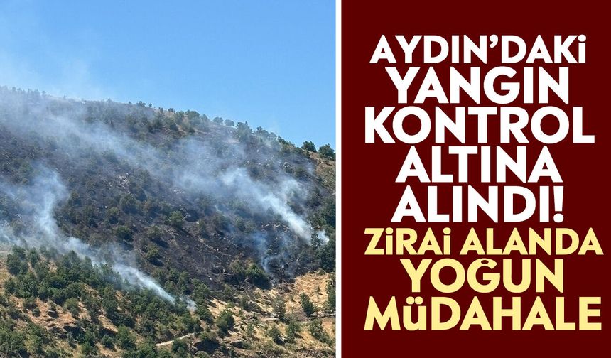 Aydın’daki yangın kontrol altına alındı! Zirai alanda yoğun müdahale