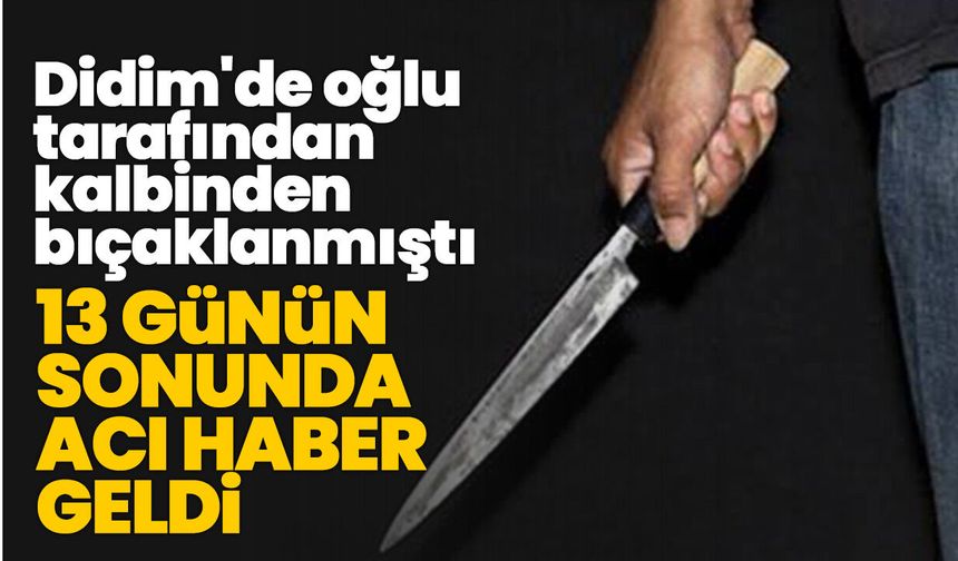 Didim'de oğlunun bıçakladığı baba hayatını kaybetti