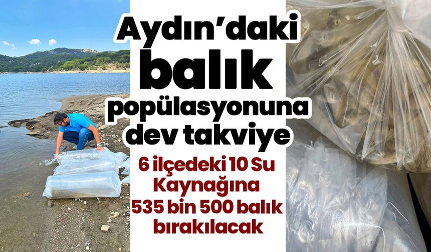 Aydın’daki balık popülasyonuna dev takviye!