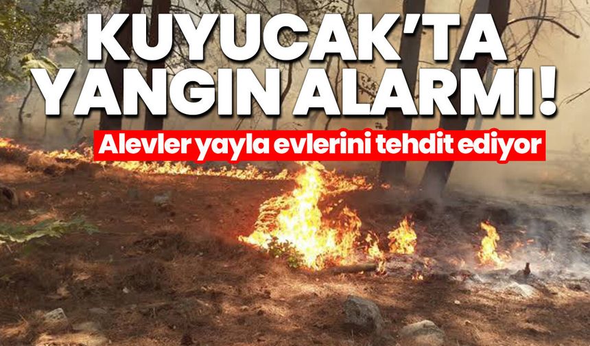 Kuyucak’ta yangın alarmı! Alevler yayla evlerini tehdit ediyor