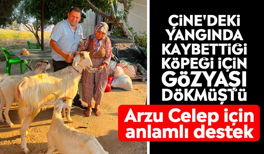 Çine'deki yangında kaybettiği köpeği için gözyaşı dökmüştü: Arzu Celep için anlamlı destek