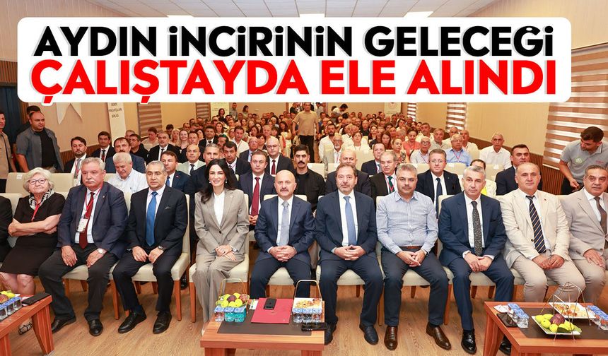 Aydın incirinin geleceği çalıştayda ele alındı