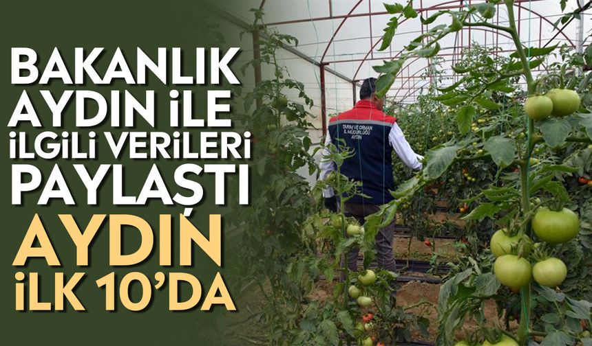 Aydın tarımında tehlikeli tablo