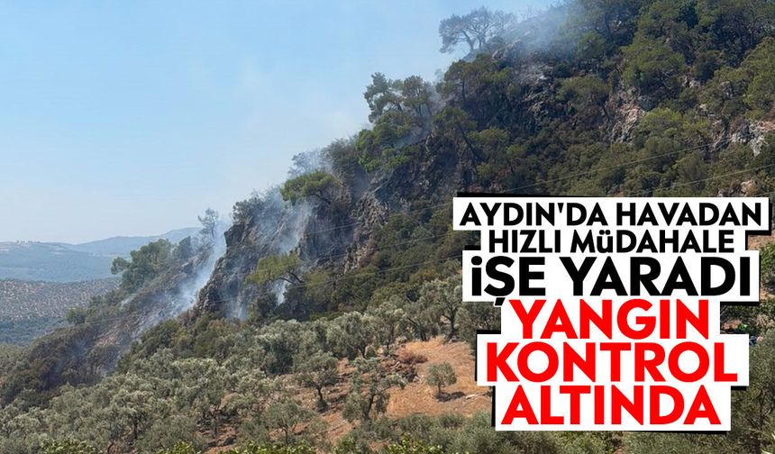 Aydın'da havadan hızlı müdahale işe yaradı: Yangın kontrol altında