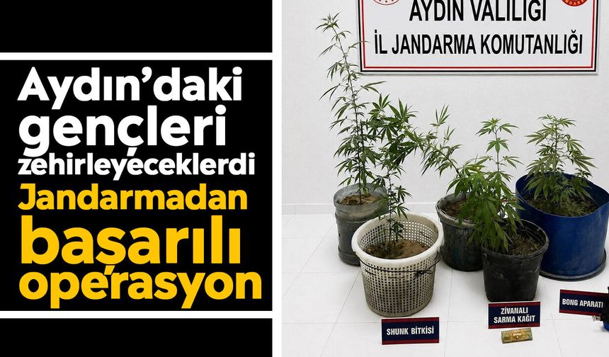 Aydın’daki gençleri zehirleyeceklerdi: Jandarmadan başarılı operasyon