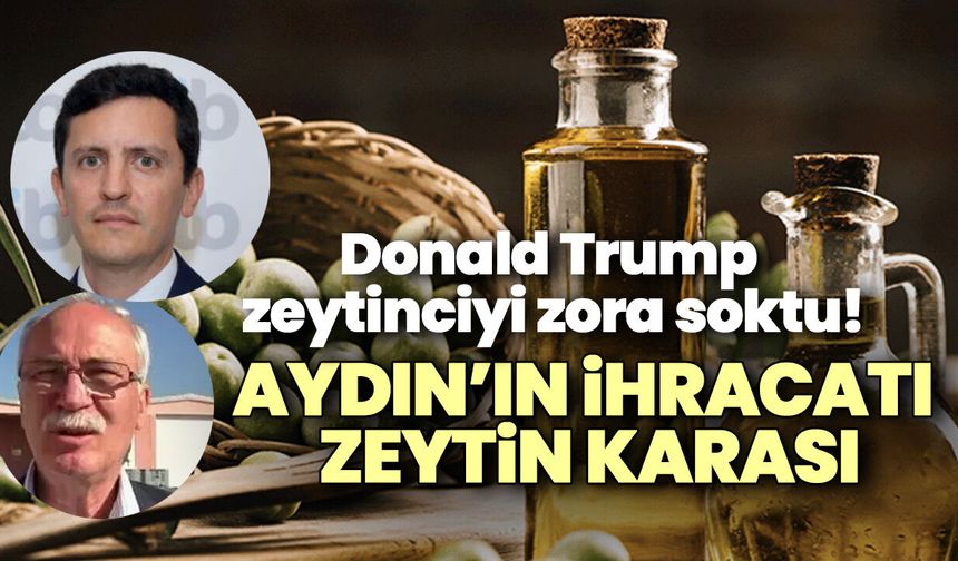 Donald Trump zeytinciyi zora soktu! Aydın’ın ihracatı zeytin karası